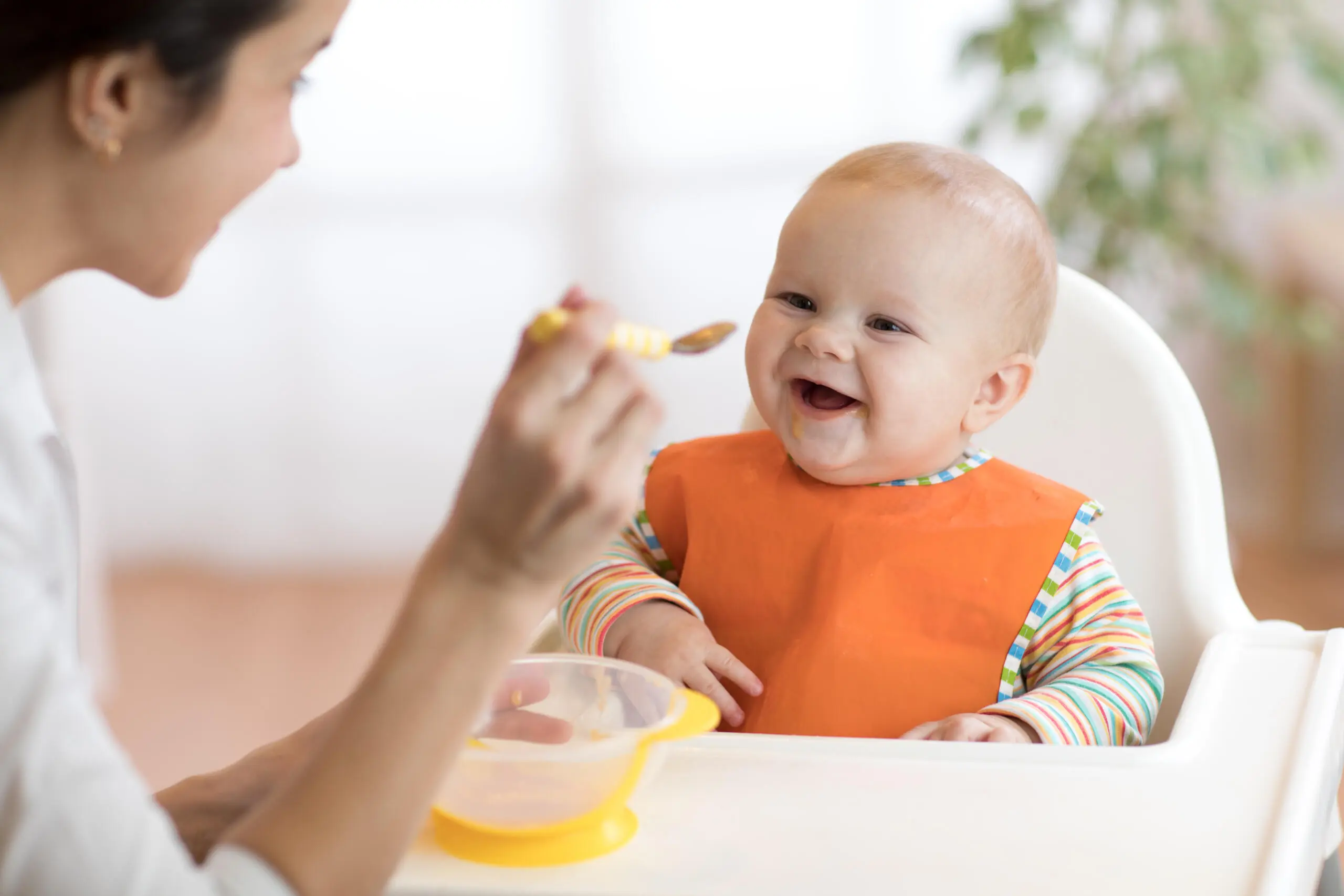 Year One of Baby Feeding: How to Ensure a Healthy Diet for Your Infant