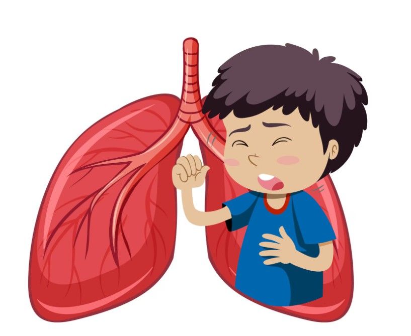 Bronchiolitis: Causes, Symptoms & Treatment Guide
